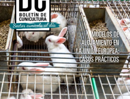 Boletín de Cunicultura Nº207 – Sector Cunicola al dia