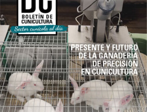 Boletín de Cunicultura Nº209 – Sector Cunicola al dia