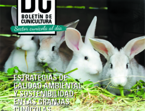 Boletín de Cunicultura Nº216 – Sector Cunicola al dia
