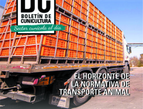 Boletín de Cunicultura Nº217 – Sector Cunicola al dia