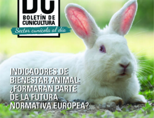Boletín de Cunicultura Nº219 – Sector Cunicola al dia